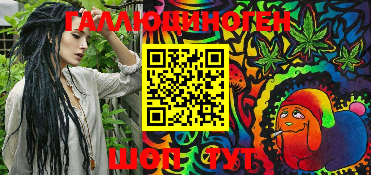 Галлюциногенные грибы Cubensis Городец